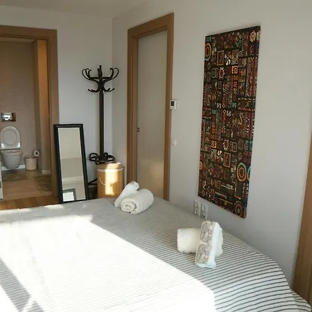 Large Luxury Flat With Terrace 1+1 / Maslak 1453