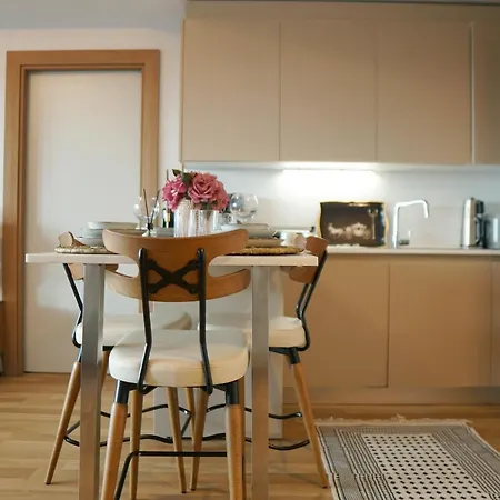 Large Luxury Flat With Terrace 1+1 / Maslak 1453 Istambul