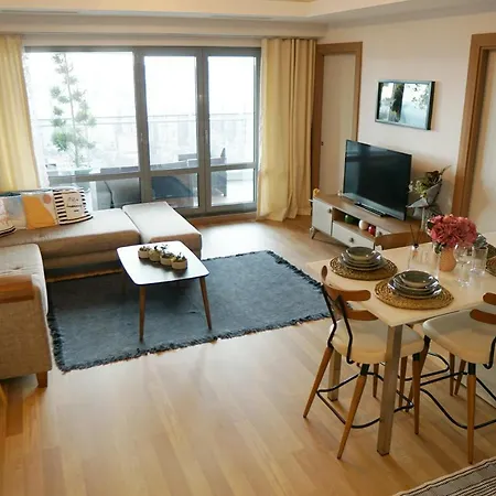 Daire Large Luxury Flat With Terrace 1+1 / Maslak 1453